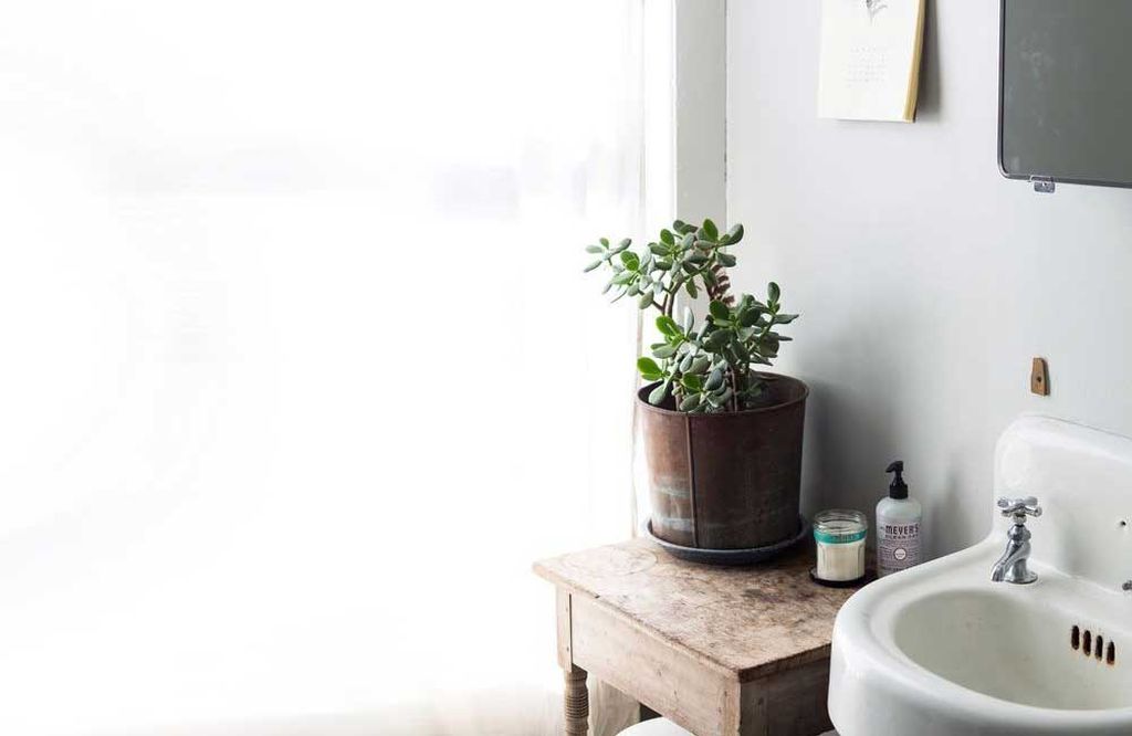14 Bathroom Plant Ideas That Will Brighten Your Home