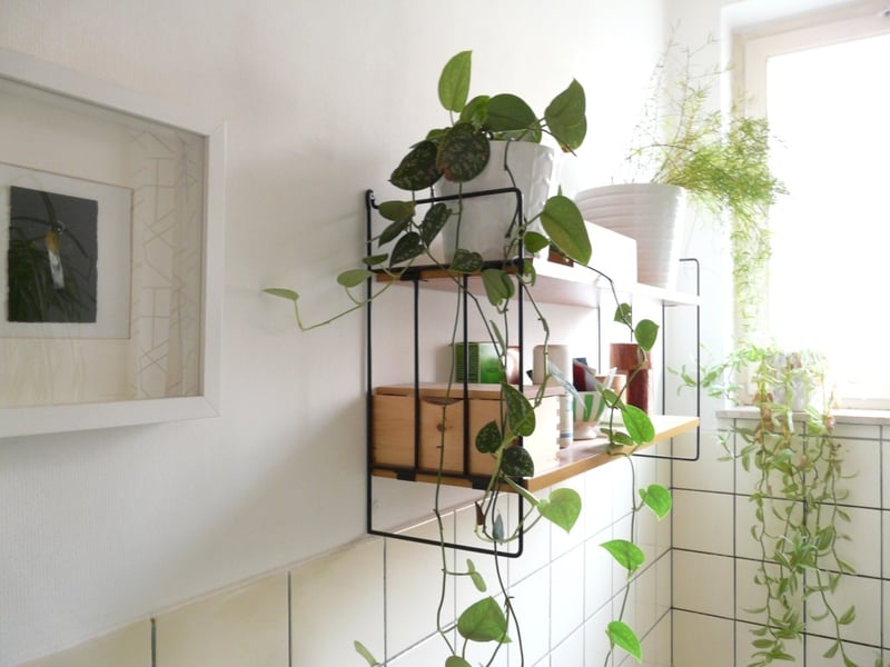 10 Simple Ways to Revitalize Your Old Bathroom - Bring in Some Plant Life
