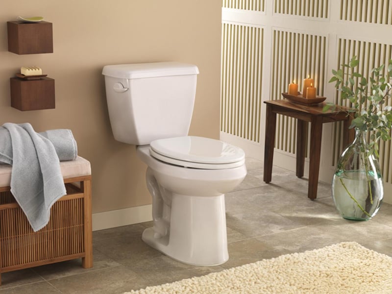 Game of Thrones: Your Guide to Finding the Best Toilet - Two-Piece Toilet