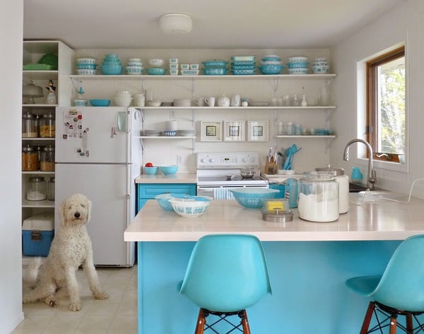 Szuka in the Kitchen