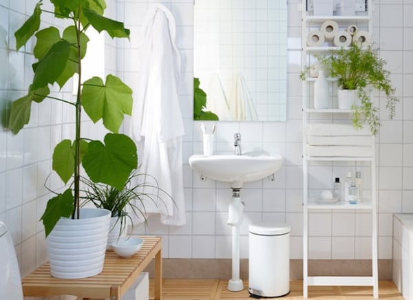 7 Apartment Bathroom Ideas For Your First Place - Add a Plant