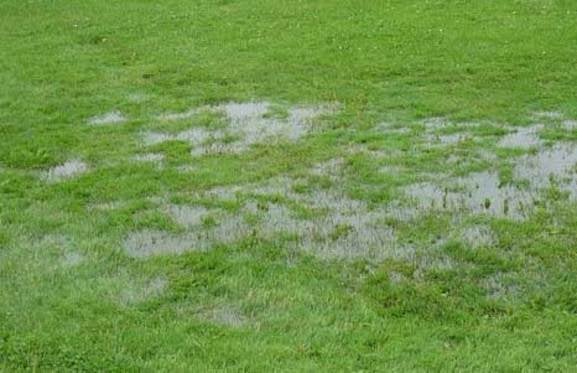 lawn-drainage-problem